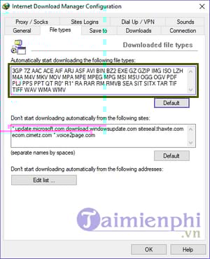 How to fix IDM not automatically downloading music and video links on Chrome and Firefox Picture 9