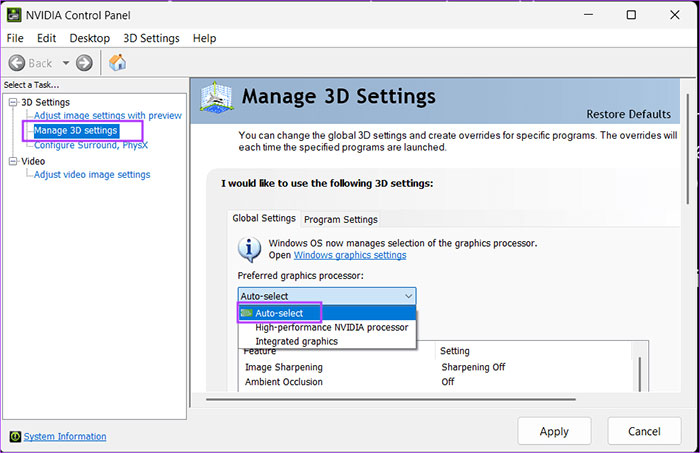 How to fix Lightshot not working on Windows Picture 11