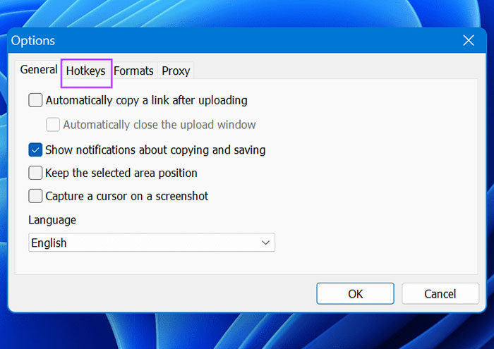How to fix Lightshot not working on Windows Picture 8