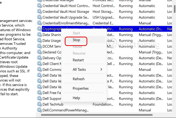 How to fix missing Windows 11 update files error Picture 7