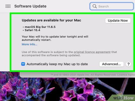 How to Fix Sound Errors on Mac Computers Picture 17