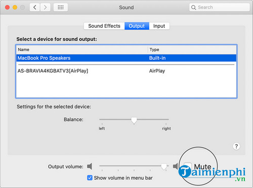 How to fix speaker loss of sound on Macbook Picture 4
