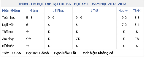 Picture 5 of How to fix VnEdu errors, VnEdu login errors, and inability to view VnEdu scores.