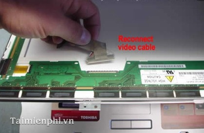 How to fix white screen error on computer quickly Picture 2