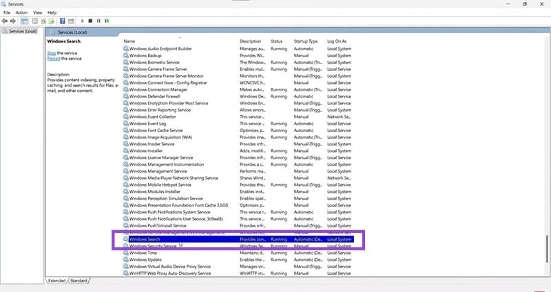 How to fix Windows 11 search not showing up Picture 3