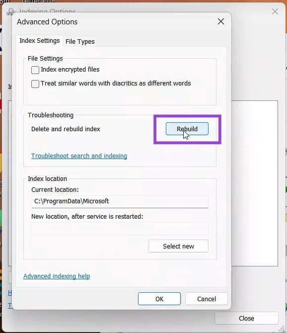 How to fix Windows 11 search not showing up Picture 5