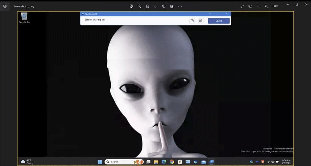 How to get and provide remote support using the Quick Assist app in Windows 11 Picture 15