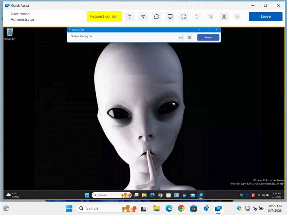 How to get and provide remote support using the Quick Assist app in Windows 11 Picture 8