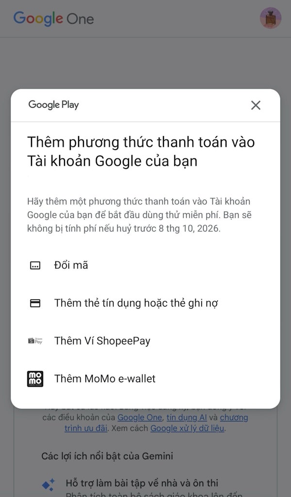 How to Get Gemini Pro, 2TB Storage Free for 1 Year Picture 5