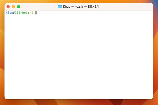 How to Hide App Icons in Mac Dock Even When Running on Picture 1