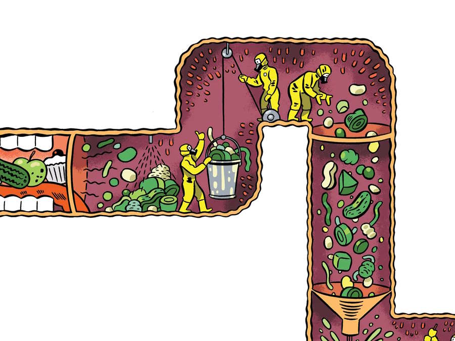 How can you tell if your gut microbiome is healthy? Picture 2