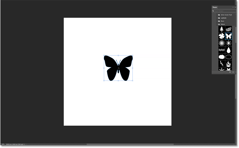 How to Insert a Photo into a Shape in Photoshop Picture 19