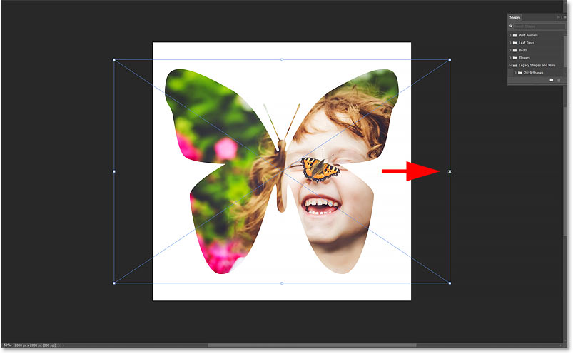 How to Insert a Photo into a Shape in Photoshop Picture 40