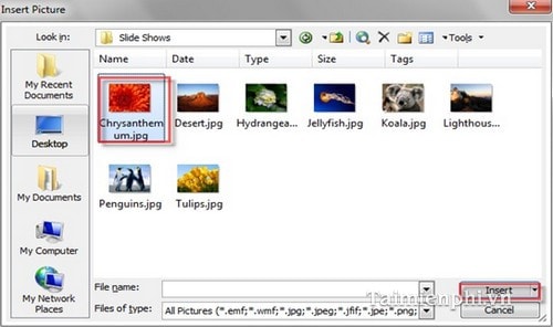 images 2 of How to insert images into PowerPoint for each version