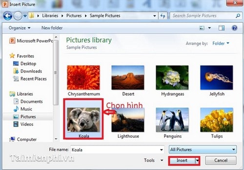 images 5 of How to insert images into PowerPoint for each version
