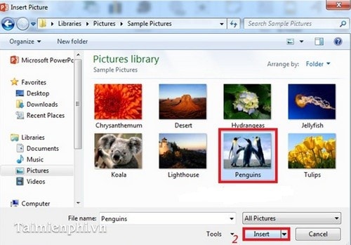 images 8 of How to insert images into PowerPoint for each version