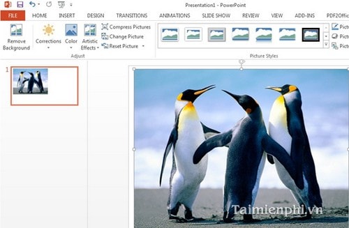 images 9 of How to insert images into PowerPoint for each version