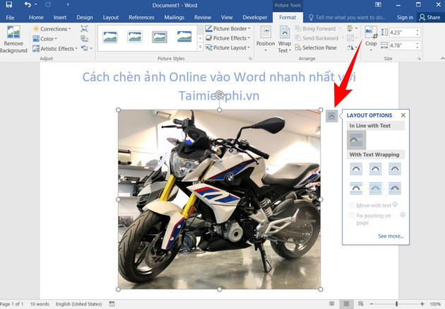 How to insert pictures into Word, edit size and format Picture 28