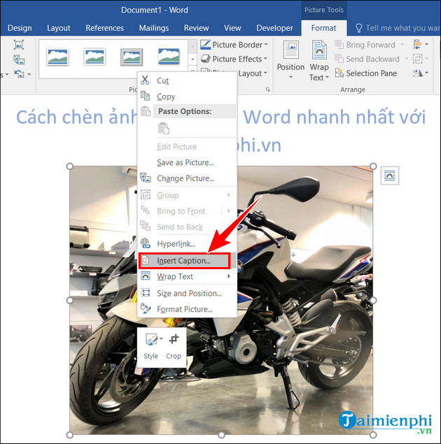 How to insert pictures into Word, edit size and format Picture 29