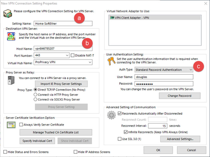 SoftEther server hostname port Virtual Hub and authentication fields
