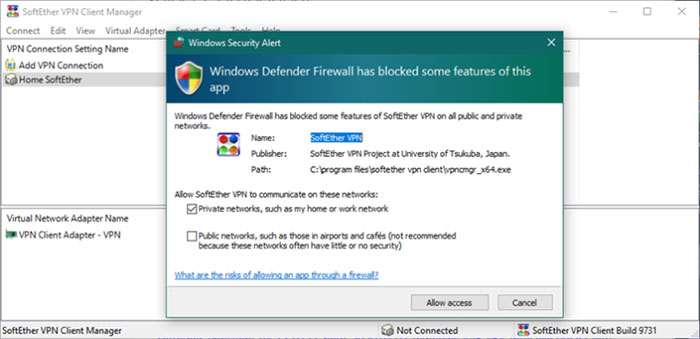 Connecting a saved SoftEther VPN connection