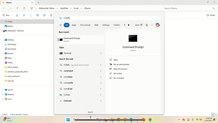 How to install and use DeepSeek AI on your computer. Picture 2