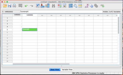 Picture 38 of How to install SPSS on a MacBook: A step-by-step guide.