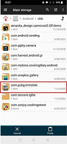 How to install XAPK file on Android Picture 12