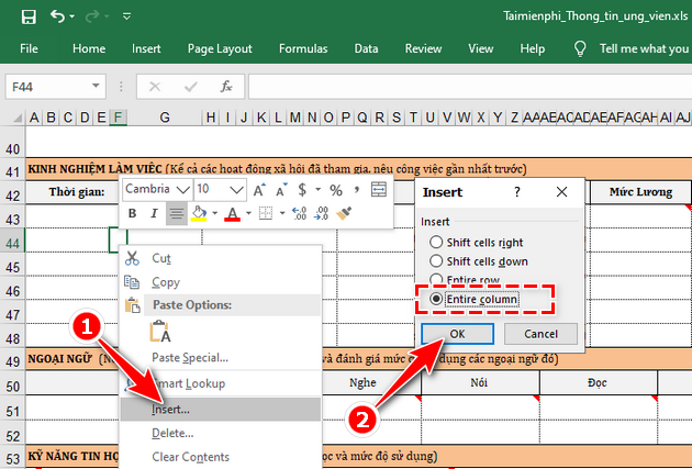 How to make a recruitment form with Excel quickly Picture 3