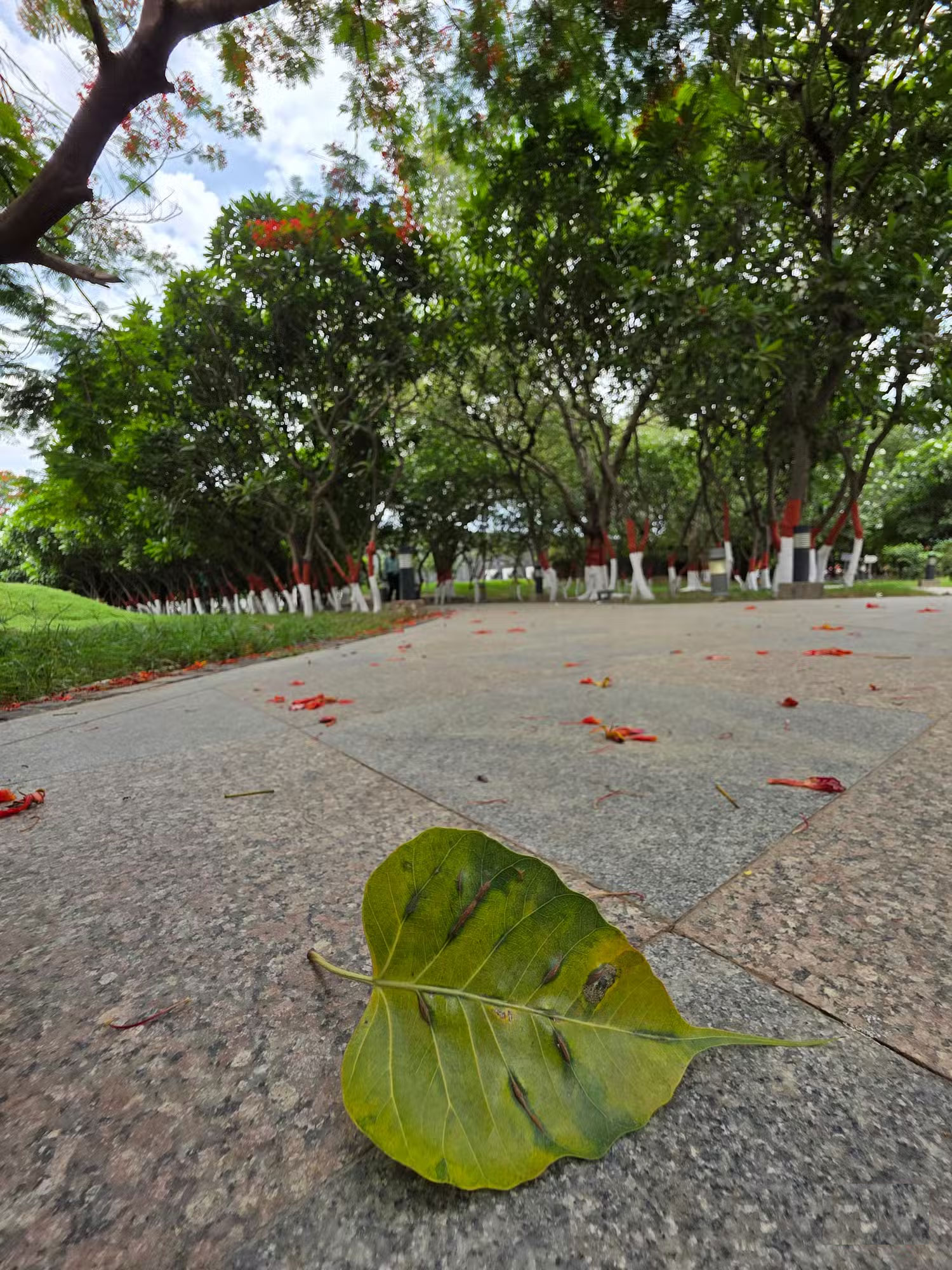 How to Make Your Phone's Ultra Wide Angle Camera Weirdly Awesome Picture 2