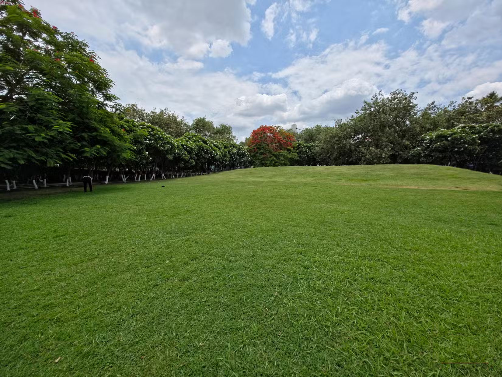 How to Make Your Phone's Ultra Wide Angle Camera Weirdly Awesome Picture 6