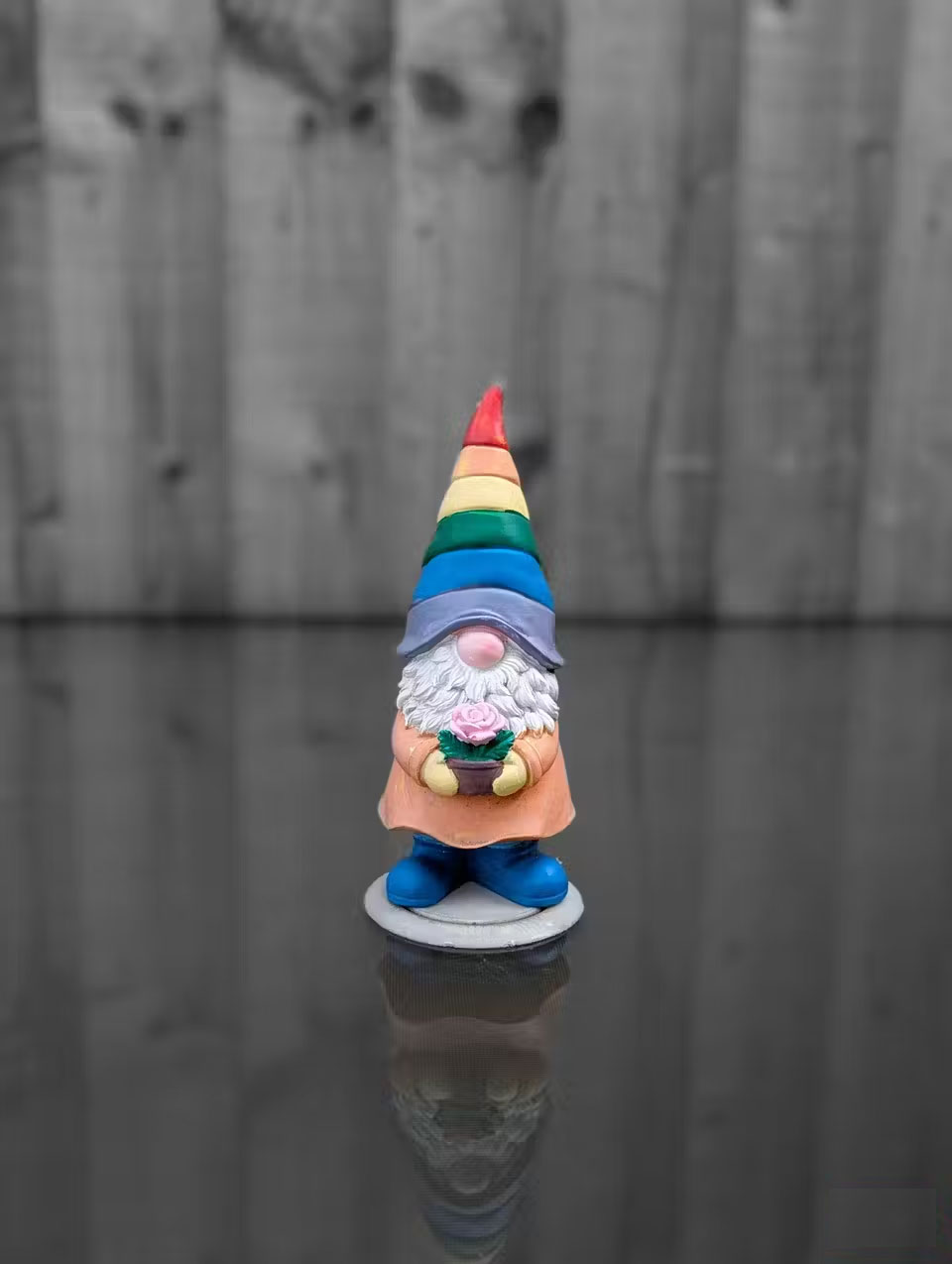 How to Make Subjects Stand Out and Create Depth in Smartphone Photos Picture 2