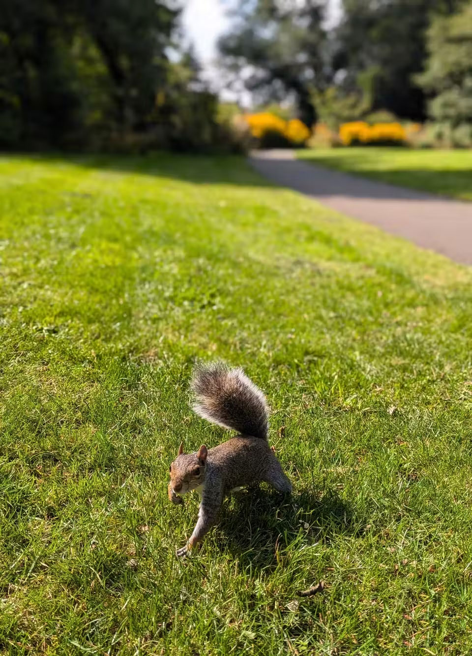 How to Make Subjects Stand Out and Create Depth in Smartphone Photos Picture 3