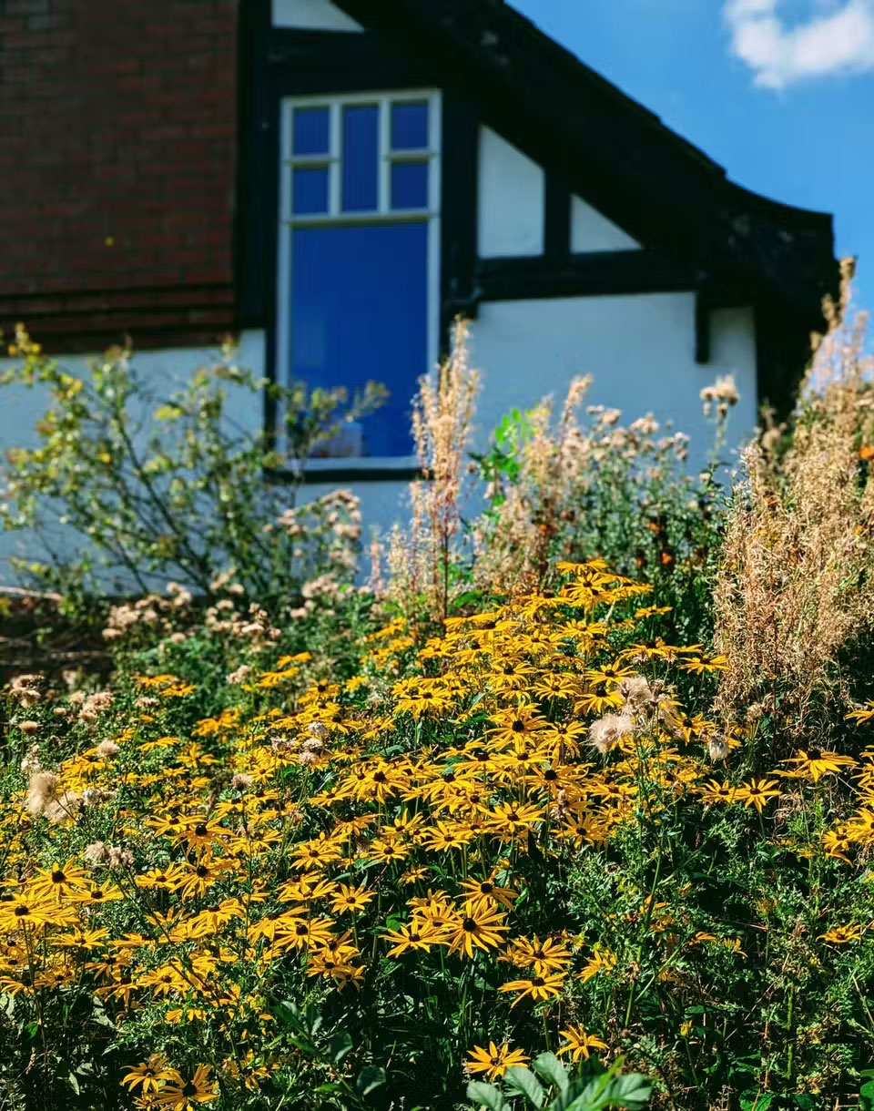 How to Make Subjects Stand Out and Create Depth in Smartphone Photos Picture 4