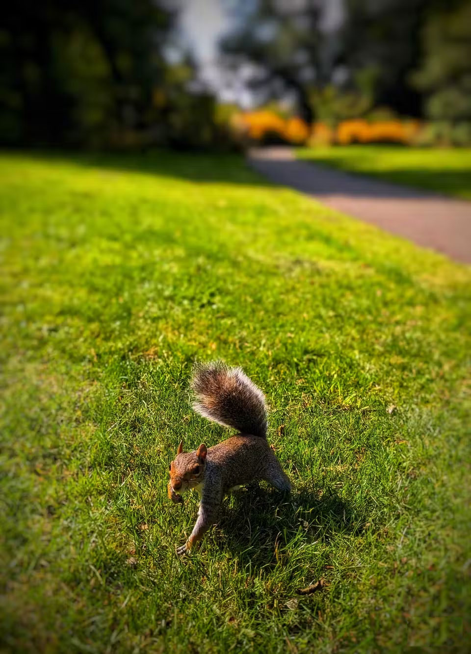 How to Make Subjects Stand Out and Create Depth in Smartphone Photos Picture 6