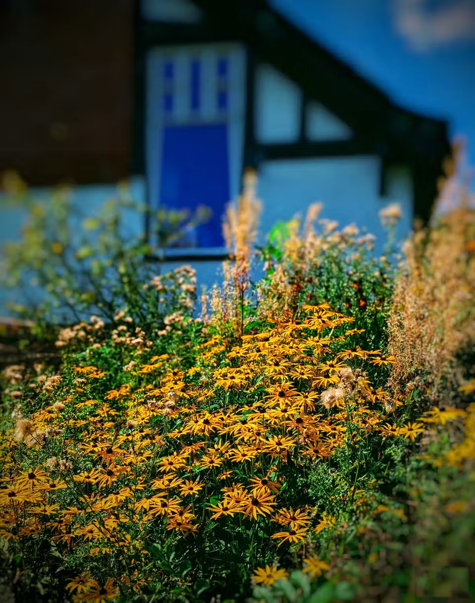 How to Make Subjects Stand Out and Create Depth in Smartphone Photos Picture 7