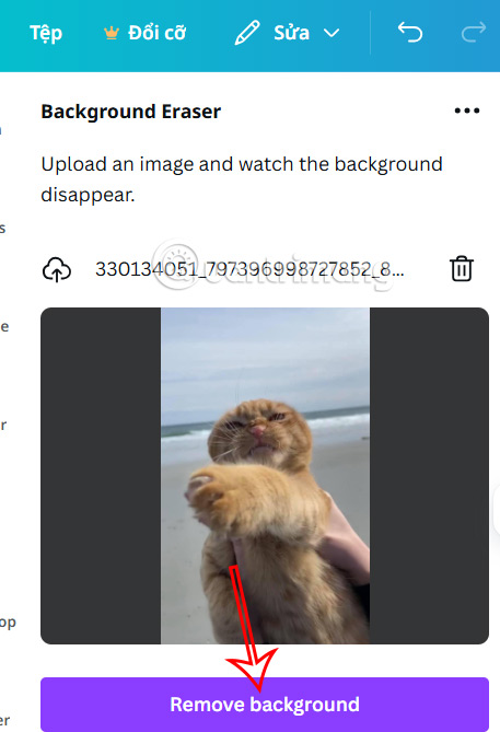 How to Make a Transparent Background in Canva for Free Picture 5