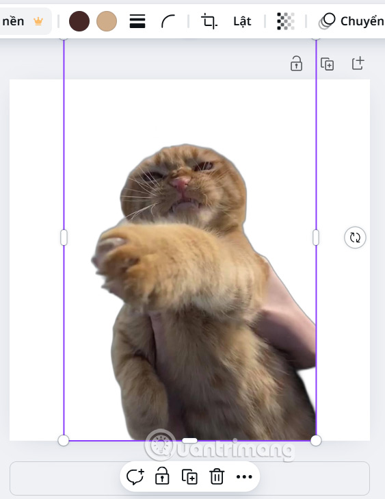 How to Make a Transparent Background in Canva for Free Picture 6