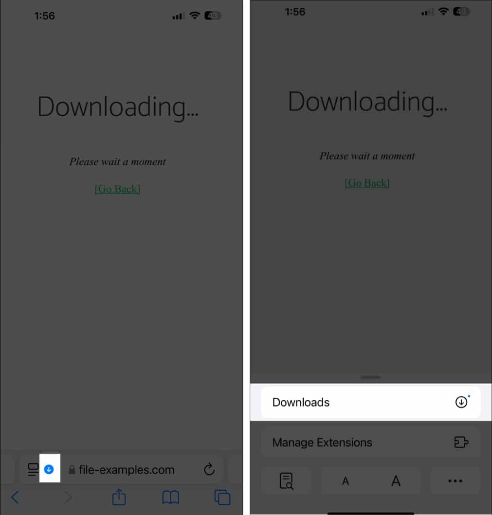 How to manage downloaded files in Safari on iPhone and iPad Picture 3