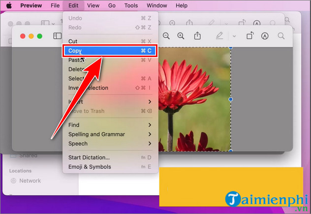 How to merge photos on Macbook, merge multiple photos into 1 on Mac OS Picture 7