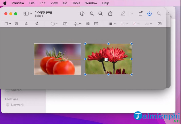 How to merge photos on Macbook, merge multiple photos into 1 on Mac OS Picture 8