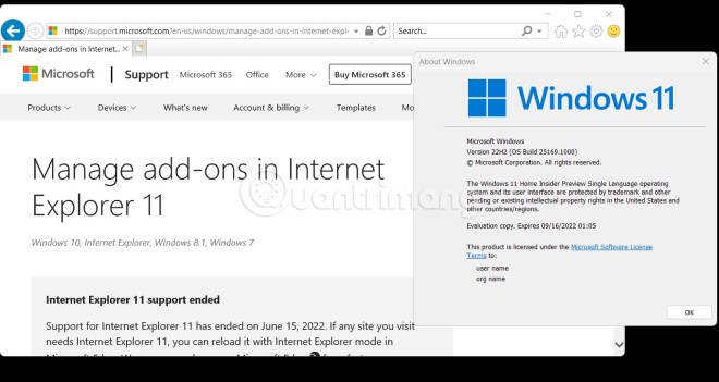 How to open Internet Explorer on Windows 11, create shortcut to open IE on Win 11 Picture 5