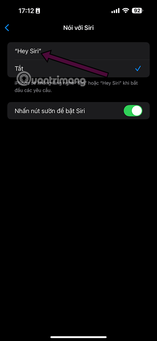 How to open Siri, enable Siri, and useful Vietnamese Siri commands on iPhone. Picture 4