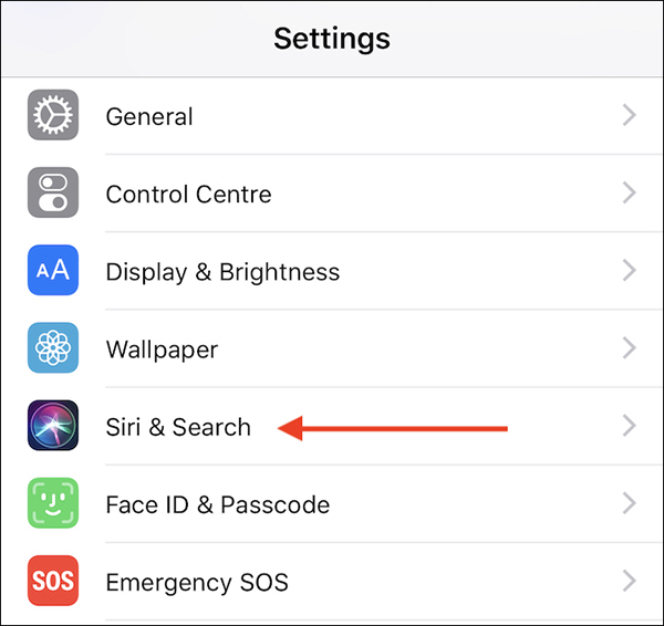 How to open Siri, enable Siri, and useful Vietnamese Siri commands on iPhone. Picture 6