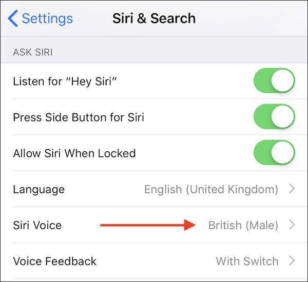 How to open Siri, enable Siri, and useful Vietnamese Siri commands on iPhone. Picture 8