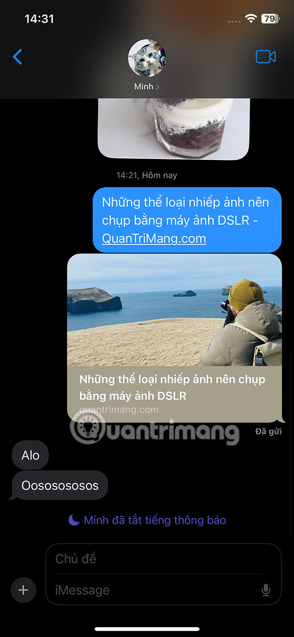 How to pin shared content in iPhone messages Picture 1