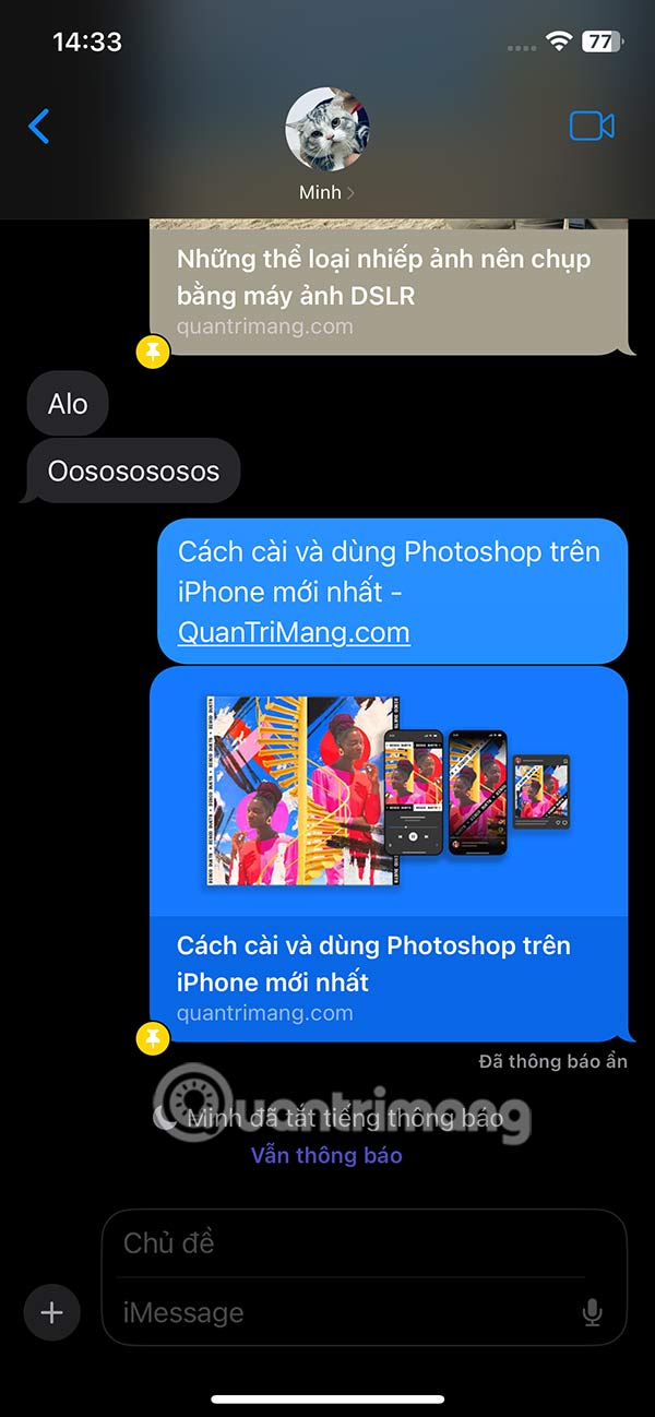 How to pin shared content in iPhone messages Picture 4
