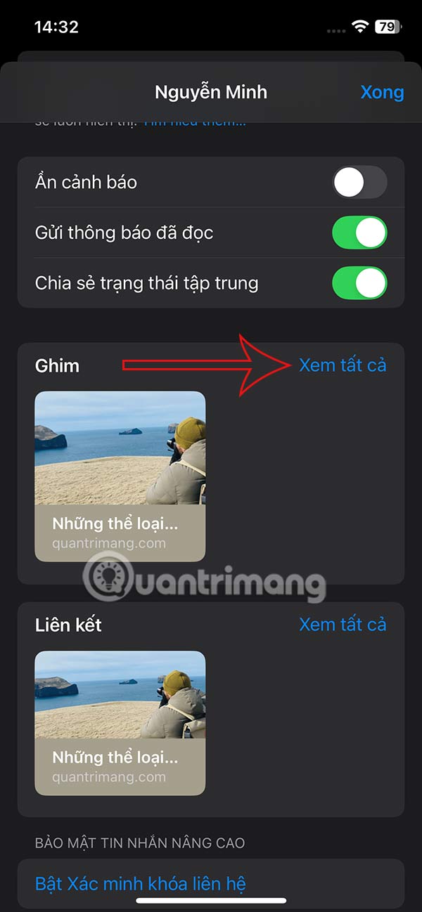 How to pin shared content in iPhone messages Picture 5