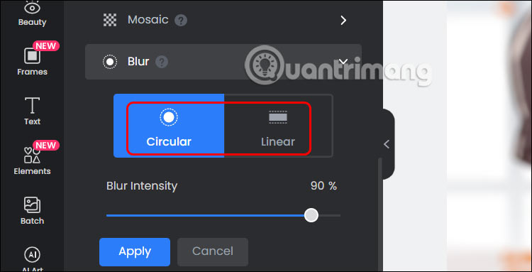 How to quickly blur photos online Picture 11