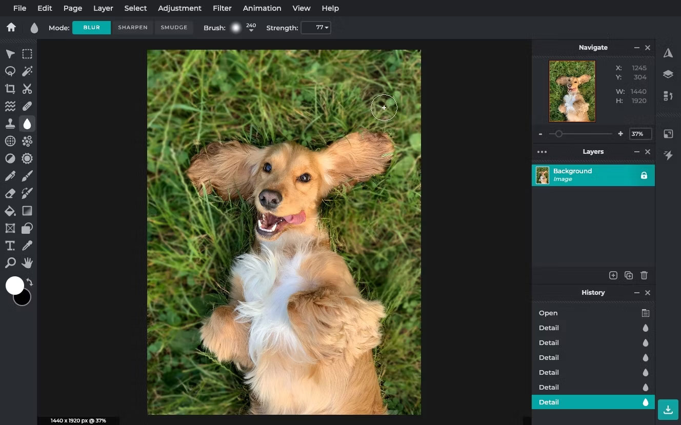 How to quickly blur photos online Picture 18